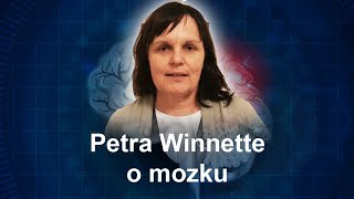 Petra Winnette – Faces of Fulbright w Vedator [upl. by Nonnag]