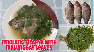 Tinolang tilapya with malunggay leaves [upl. by Eirrehc]