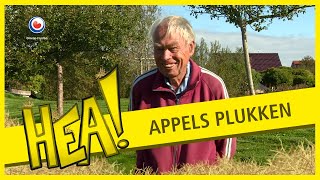 Appels plukken in Reduzum  HEA [upl. by Enahpad]