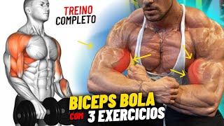 3 Exercício Para Construir Braços Gigantes Rápido  Treino de Bíceps Completo [upl. by Aimek164]