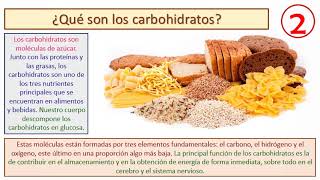 Los carbohidratos y lípidos [upl. by Anitnoc]