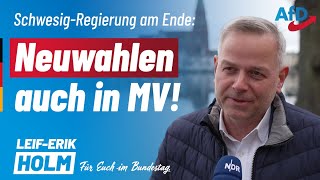 SchwesigRegierung am Ende Neuwahlen auch in MV  LeifErik Holm MdB [upl. by Haidadej]