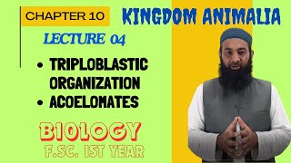 Triploblastic organization and Acoelomates I Chapter 10 I FSc I First Year I biology I Lec 4 [upl. by Leamaj]