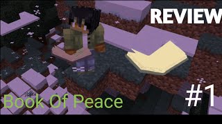 RPG REVIEW Book Of Peace [upl. by Mace]