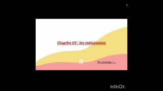 zoologie L2 partie 07🪱🦗🦟🪳🪰🐝🐞🐛🐌🕷️🦂🐙🐠🐟 [upl. by Glynis68]