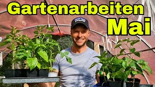 Startklar in den Mai🌷7 wichtige Gartenarbeiten für diesen Monat [upl. by Clio10]