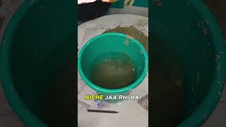 How to do Cement Float Test  Construction Material  Cement quality Test  Shape with Ease [upl. by Hgalehs463]