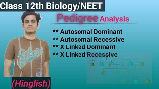 Pedigree analysis Hinglish Biology class 12th botany neet neet2025 cbse biology [upl. by Ajoop233]