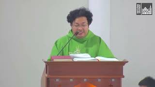 Homily Mandarin  21st Sunday in Ordinary Time [upl. by Enellek]