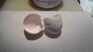 Natural Eggshell Membrane  NEM  preparing eggshells  recipe [upl. by Dinny]