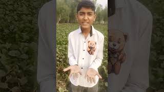 Kamani Paunga Ambani ko bhi Picha Chhod Do🤣🤣 comedy funny fun love funnymoment tearyeyed com [upl. by Shaia50]