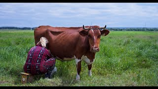 The hard but happy daily life of a Village Family in Eastern Europe [upl. by Sirrep]