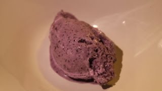 Wie macht man Eiscreme ohne Maschine Rezept  Heidelbeereis  Der Bio Koch 454 [upl. by Marjory693]