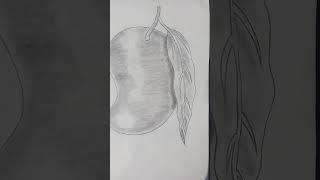 how to draw a mango sketch easy step by step for beginners  mango drawing  see arts [upl. by Elodie]