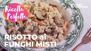 RISOTTO ai FUNGHI MISTI🍄🍂 RISULTATO CREMOSO e SAPORITO😍 [upl. by Dionne649]