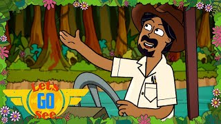 Lets Sing Along to the Rainforest Song  Music  Songs  Cartoons for Kids  LetsGoSee [upl. by Griz18]