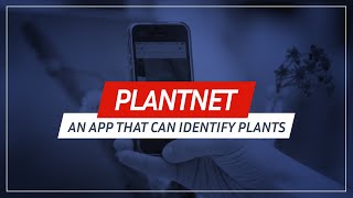 Plantnet an application that can identify plants 🌱😲 [upl. by Zeiger]