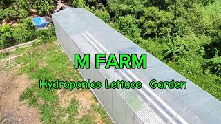 Shortvid MFARM [upl. by Godwin]