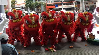 新加坡順利壇體育會 SLT Association Lion Dance Cai Qing Performance amp Roving at Orchard Gateway 31 Jan 2023 [upl. by Christmann]