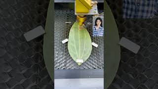 leaves production process laser engraving leaf engraving machine entrepreneurship [upl. by Dirrej]