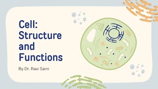 NEET NCERT Biology Plastids and Ribosomes [upl. by Mainis]