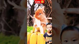 rabbit cute bunny shortvideoviral moncky babyanimal funny monky trendingshortsvideo [upl. by Ellecram]