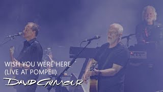 David Gilmour  Wish You Were Here Live At Pompeii [upl. by Enohs]