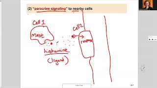 181 Ch9 Four Cell Signaling Categories [upl. by Wearing]