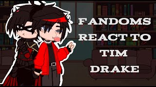 Fandoms React  17 Tim Drake  TimBer  reign [upl. by Nolrak938]