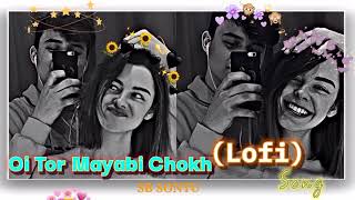 🔴OiTorMayabiChokh‼️ BeshKorechiPremKorechi 🦋Bangla MovieSongRomanticLove Lofi viralyt [upl. by Lertnom220]