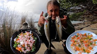 Van life Tasmanian winter fresh caught Aussie Salmon on the Kayak [upl. by Runstadler705]