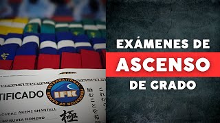 ¿Por Qué Son Importantes los Exámenes de Grado en Karate  Karate Kyokushin [upl. by Ioyal]