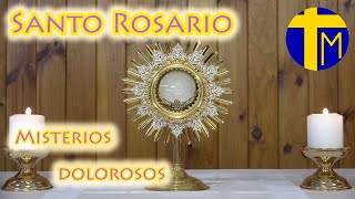 Santo Rosario María con nosotros Misterios Dolorosos martes y viernes Ante el Santísimo [upl. by Etz709]