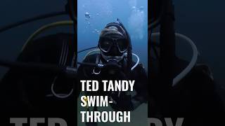 Ted Tandy SwimThrough 🤿🇬🇧ScubaDiving OpenWaterDiver [upl. by Ynes81]