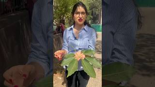 Palmately compound leaf🍁 neet2024 biology trending hardwork shorts shortsviral shortsyoutube [upl. by Aisenet824]