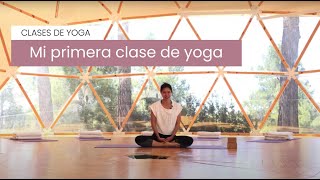 Yoga para Iniciantes FORTALECENDO e ALONGANDO o CORPO TODO  Fernanda Yoga [upl. by Nunciata733]