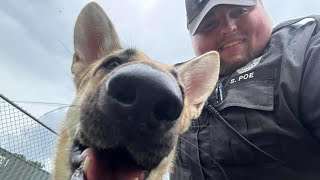 IMPD officer adopts German Shepherd he rescued on the job [upl. by Areic22]