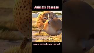 Animals Disease  shorts shortsvideo youtubeshorts subscribe trending viralvideo shortsfeed [upl. by Diao]