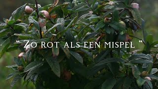 Zo rot als een Mispel 🟤🍂 Mispeljam [upl. by Hally]