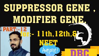 MODIFIER GENE SUPPRESSOR GENE PLEIOTROPIC GENE ISSOALLELE [upl. by Sadirah]