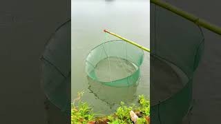 Chinese people catch fish new fishing fish catch people [upl. by Arihppas317]