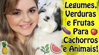 Legumes Verduras e Frutas Que Seu CachorroAnimal Pode Comer Sem Problemas  Veda14 ๏ Lói Cúrcio [upl. by Artsa432]