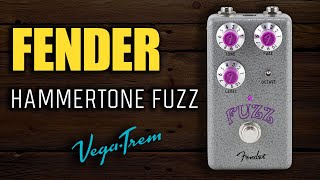 Noodeling with the Fender Hammertone Fuzz [upl. by Zsazsa350]