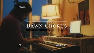 Thom Yorke  Dawn Chorus an ambient cover [upl. by Farra]