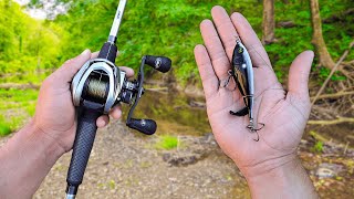 ONE HOUR of RAW and UNCUT Topwater Bass Fishing In a Creek [upl. by Morse]