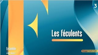 Les féculents avec une diététiciennenutritionniste  Ensemble cest mieux [upl. by Haduj]