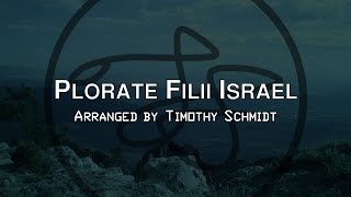 Giacomo Carissimi  Plorate filii Israel Arranged for String Orchestra by Timothy Schmidt [upl. by Roberts124]