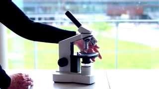 Werken met de Microscoop [upl. by Enyalahs]