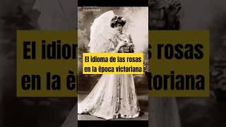 El idioma de las rosas historiaantigua historia rosas curiosidades victoriana [upl. by Elyak]