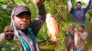 linking up with jamaicaadventures3617 to catch some Monster fish Catch n Cook [upl. by Gigi]